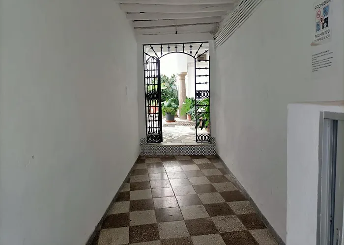 Luz22