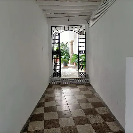 Luz22